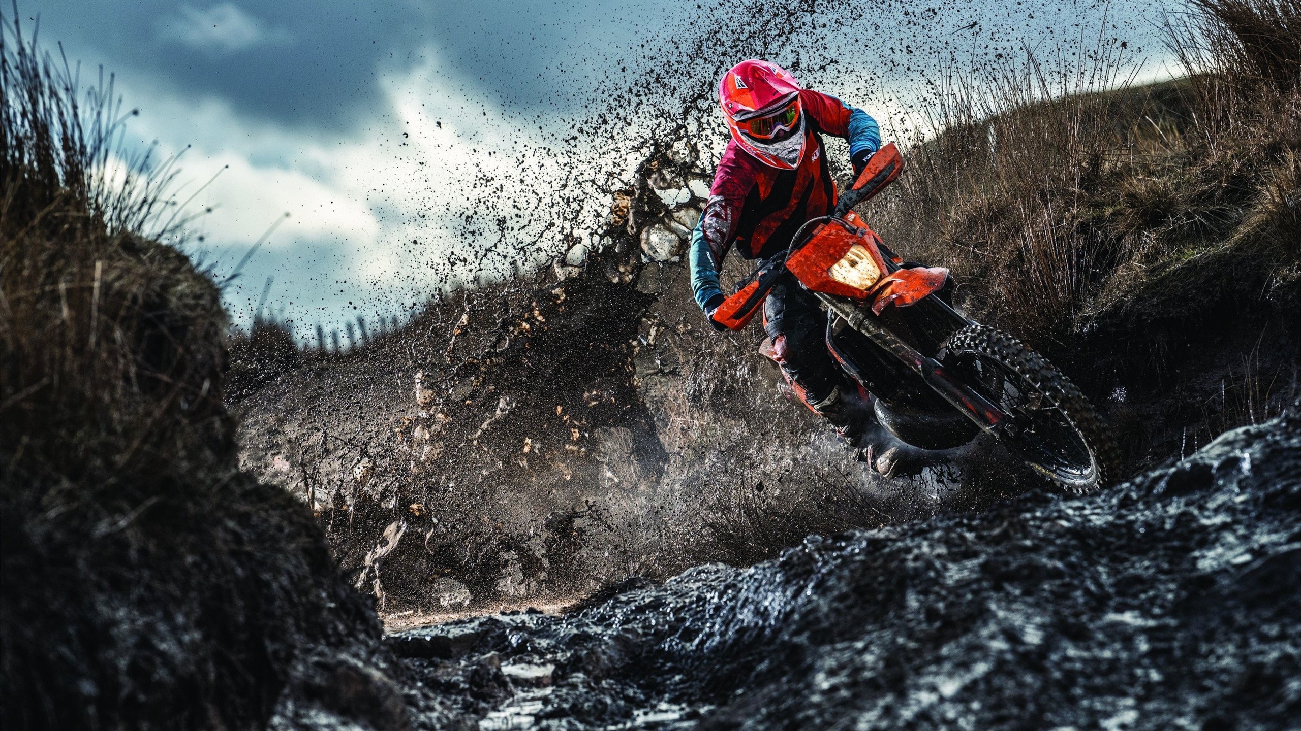 足球场上的意外与乒乓球桌的担当，英格兰轻取法国，张本智和扛起全队